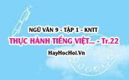 Soạn bài Thực hành tiếng Việt trang 22 Ngữ văn lớp 9 tập 1 Kết nối tri thức